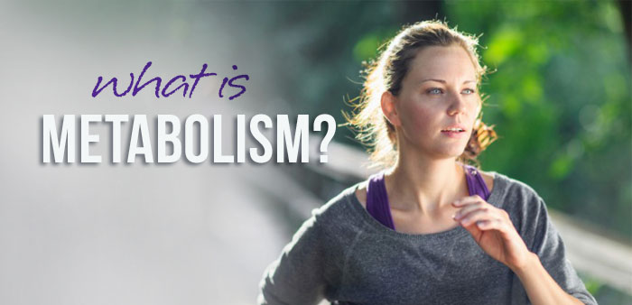 What is Metabolism? MissFit explains
